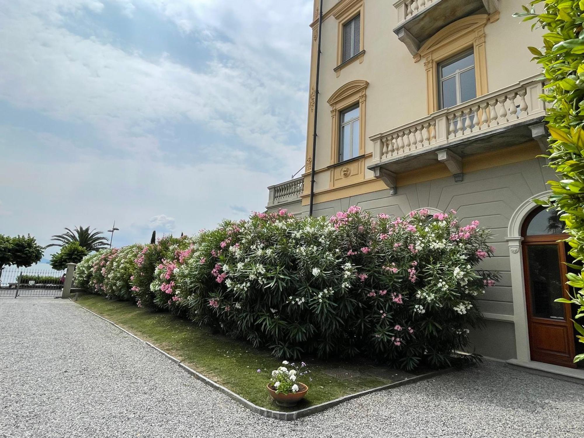 Residenza Victoria Apartment Menaggio Bagian luar foto